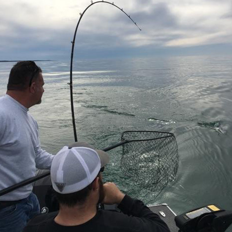 Big catch